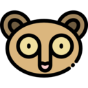 animals,mammal,wildlife,animal kingdom,zoo,animal,philippine tarsier ok 